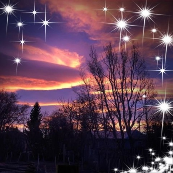 Meet your Posher, Tammy - Picture 1 of 1